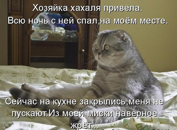  - 25  2014  22:06