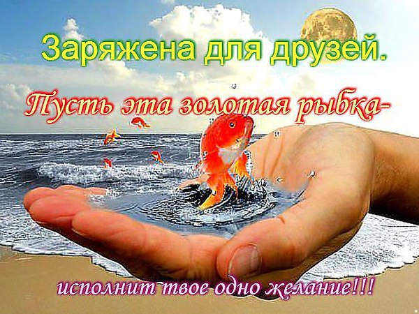 ���� - 30 ��� 2014 � 04:50