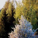 ���� �����, �����, 64 ���� - ��������� 4 ��� 2014 � ������ ������ � �����!�