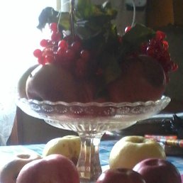 �����, �����