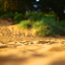 ���� �����, �����-��������� - ��������� 21 ���� 2014 � ������ ���� ������� ����