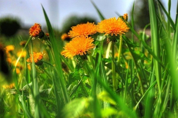          https://fotostrana.ru/away?to=/sl/k726