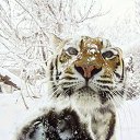 ���� ������, �������� - ��������� 25 ������ 2014 � ������ ���� ����������