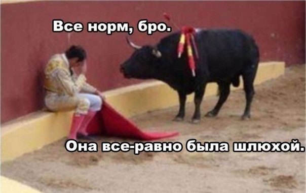 ☆ ☆ - 16  2014  10:06