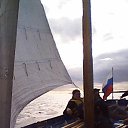 ���� ����, �����-���������, 44 ���� - ��������� 3 ���� 2014 � ������ ���� ������