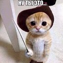 ���� ����, �������, 43 ���� - ��������� 14 ��� 2014 � ������ ������ ��������