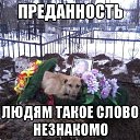���� ����, ����������, 55 ��� - ��������� 21 ��� 2014 � ������ ������ ��������