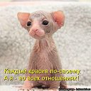 ���� ���, ������� - ��������� 6 ������� 2014 � ������ ����