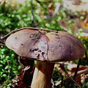 ���� �����, �����, 64 ���� - ��������� 6 ��� 2014 � ������ ������������ ������