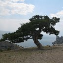 ���� R, ���� - ��������� 1 ������ 2014 � ������ ���� ����������