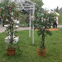 ���� ���������, ����, 53 ���� - ��������� 20 ������ 2014 � ������ ��������� ��������� ����-2014�