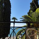     :     ,    ,      ,    ...     !!!    