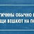���� �����, ���������, 37 ��� - ��������� 4 ��� 2014