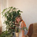 ���� ������, ������, 65 ��� - ��������� 31 ��� 2014