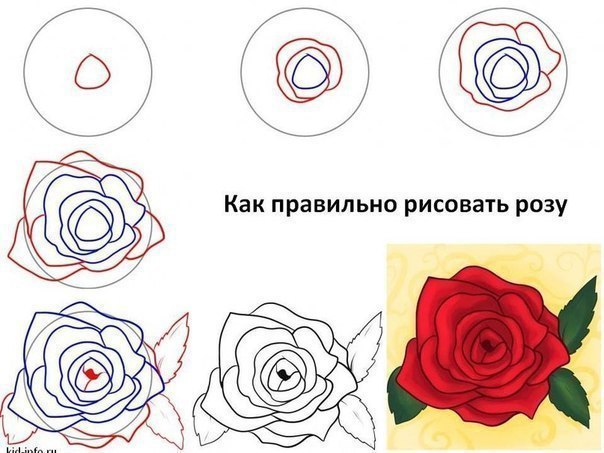   - 4