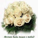 ���� �����, ������, 33 ���� - ��������� 24 ���� 2014 � ������ ���� ����������