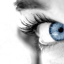 ���� �������, �����-���������, 63 ���� - ��������� 18 ��� 2014 � ������ ������ ��������