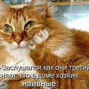 ���� �����, ������ - ��������� 27 ��� 2014 � ������ ���� ����������