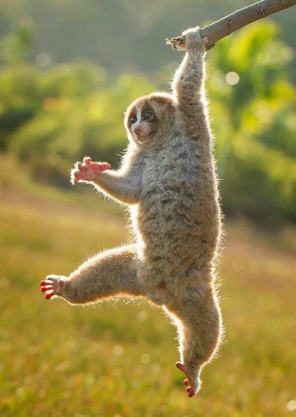    - 22  2014  13:00 - 2