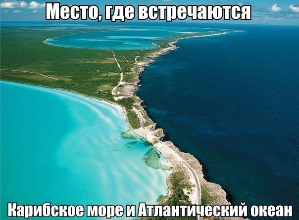 ����������� (18+) - 16 ��� 2014 � 13:27