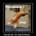 ���� ����, ��������� - ��������� 11 ���� 2014 � ������ ������ ��������