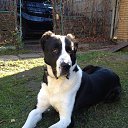 ���� ������ ��������, ������, 37 ��� - ��������� 8 ������� 2014 � ������ ���� ����������