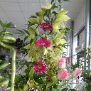 ���� ������, ���������, 45 ��� - ��������� 30 ��� 2014 � ������ ���� �������