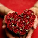 ���� �����, ���, 44 ���� - ��������� 29 ����� 2014