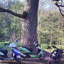 ���� �������, �������, 45 ��� - ��������� 10 ���� 2014 � ������ �����