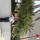 ���� Nahayat, �����������, 64 ���� - ��������� 11 ��� 2014 � ������ ���� ����������