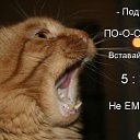 ���� Nina, ������������, 56 ��� - ��������� 17 ������ 2014 � ������ ������ ��������