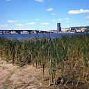 ���� �������, ������� - ��������� 1 ������� 2014 � ������ ����� ��� ������������