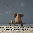  ,  -  11  2014    