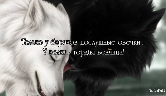   - 20  2014  18:52