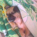 ���� �����, �������������, 65 ��� - ��������� 12 ���� 2014 � ������ ������� � �� �����߻