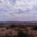 ���� �������, �����, 49 ��� - ��������� 15 ���� 2014 � ������ ����������-���� ��������