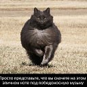 ���� �, ������� - ��������� 15 ������ 2014 � ������ ������ ��������