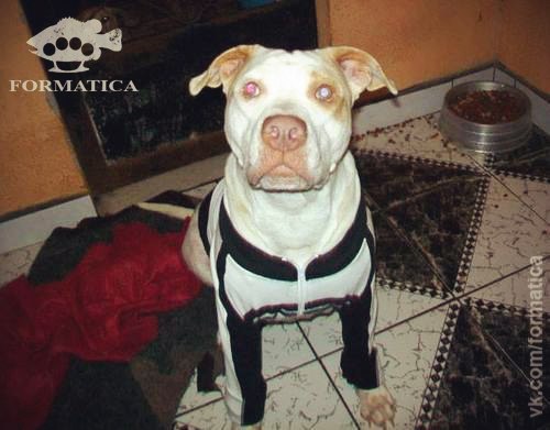 Добрые люди - 10