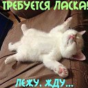 ���� �, ������������ - ��������� 29 ����� 2014 � ������ ���� ����������