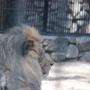 ���� �������, ���������� - ��������� 31 ���� 2014 � ������ �������������� ������� 23.07.2014�