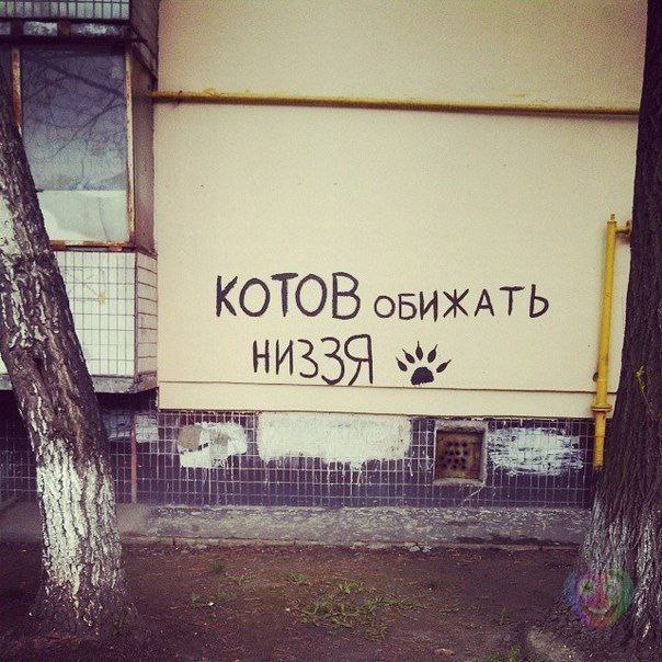 Art & Fun - 16  2014  16:50