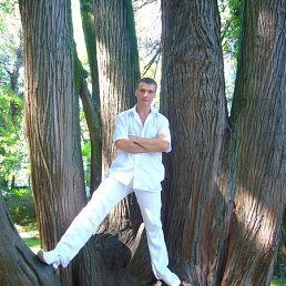 ����, ������-��-����, 48 ���