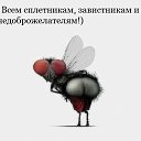 ���� �����, �������, 50 ��� - ��������� 10 ������ 2014 � ������ ���� ����������