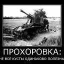 ���� �������, �����-���������, 43 ���� - ��������� 21 ���� 2014 � ������ ������ ��������