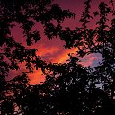 ���� �����, �����, 64 ���� - ��������� 29 ��� 2014 � ������ ������Ż