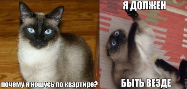 ���� ������� :3 - 5 ������� 2014 � 13:07