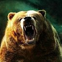 ���� ���������, ����� - ��������� 4 ���� 2014 � ������ ���� ����������