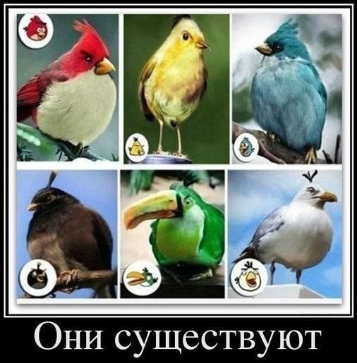  -   ... - 27  2014  11:53