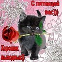 ���� �������, ������ - ��������� 1 ������� 2014 � ������ ������ ��������