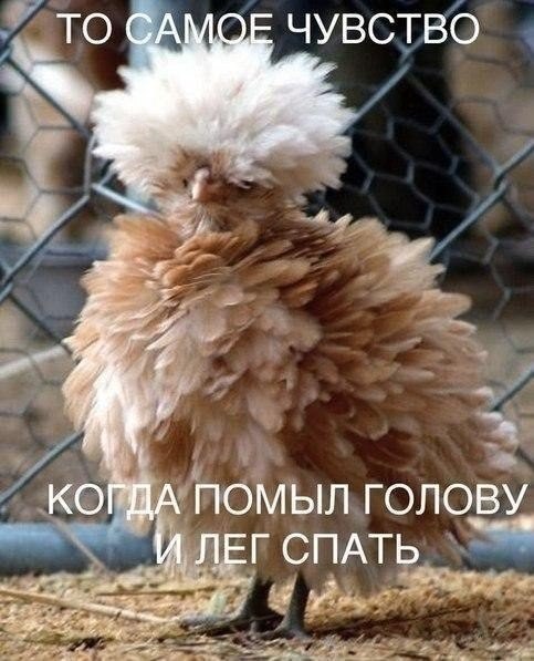    <a href=